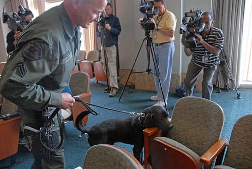 Johnny Ringo scouts the Metro Board room