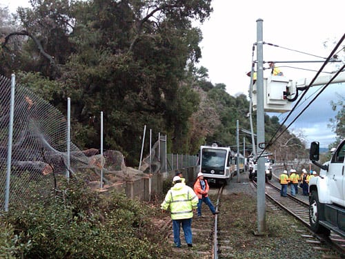 Work crew at Gold Line repair Tree damages overhead catenary wires and blocks Gold Line tracks between Highland Park and Mission stations near the Via Verde crossing and the Arroyo Seco Bridge. Photo: Luis Inzunza.