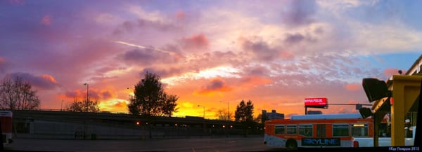 Division2sunrise