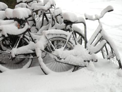 bikes