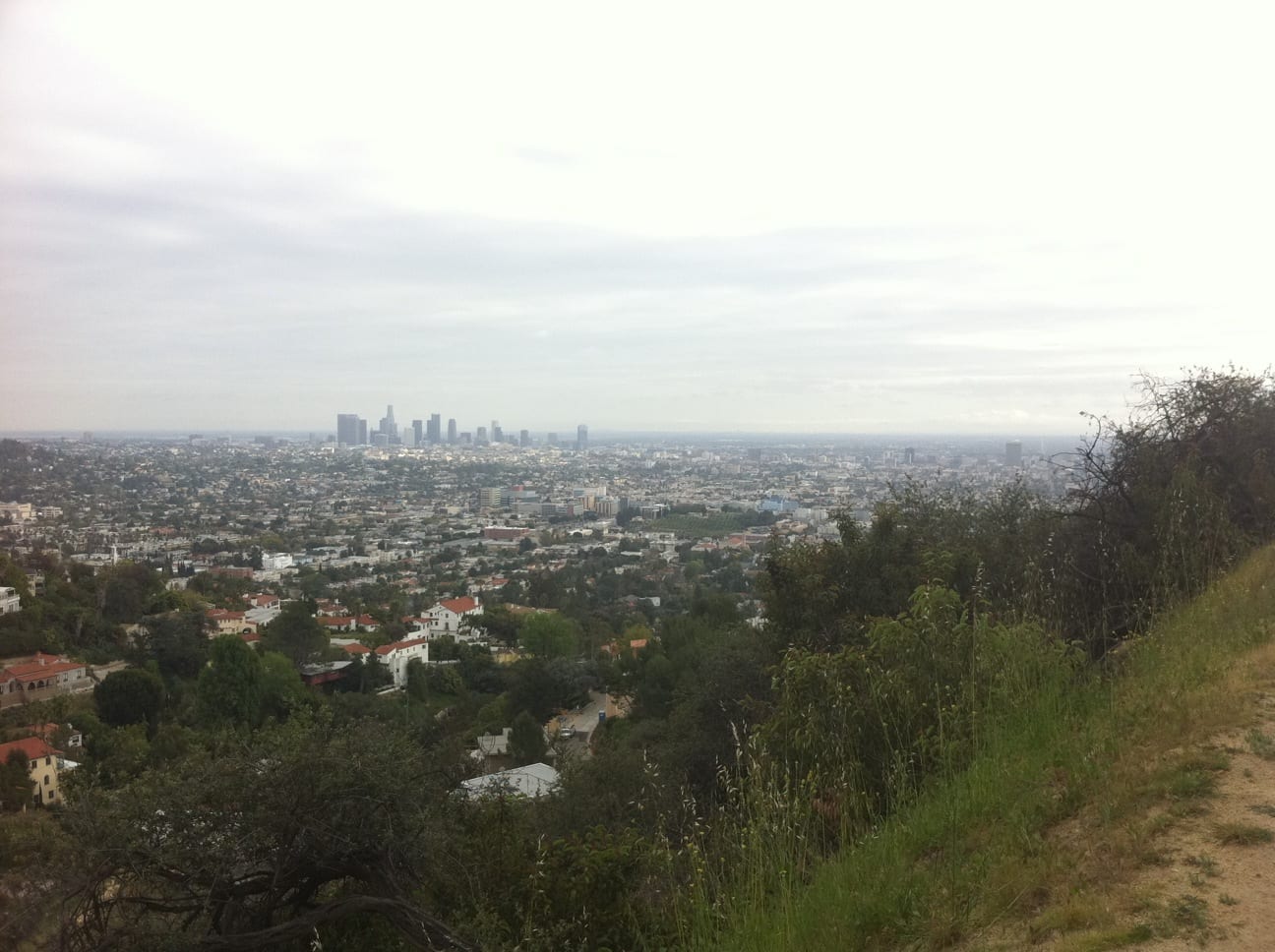 The view of downtown L.A. from Griffith Park. The view of downtown L.A. from Griffith Park.