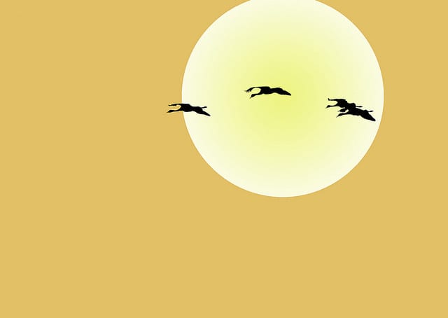 3838428506_f5efe8116f_z