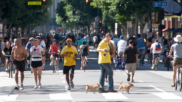 Look ma! No cars! CicLAvia is this Sunday. Look ma! No cars! CicLAvia is this Sunday.