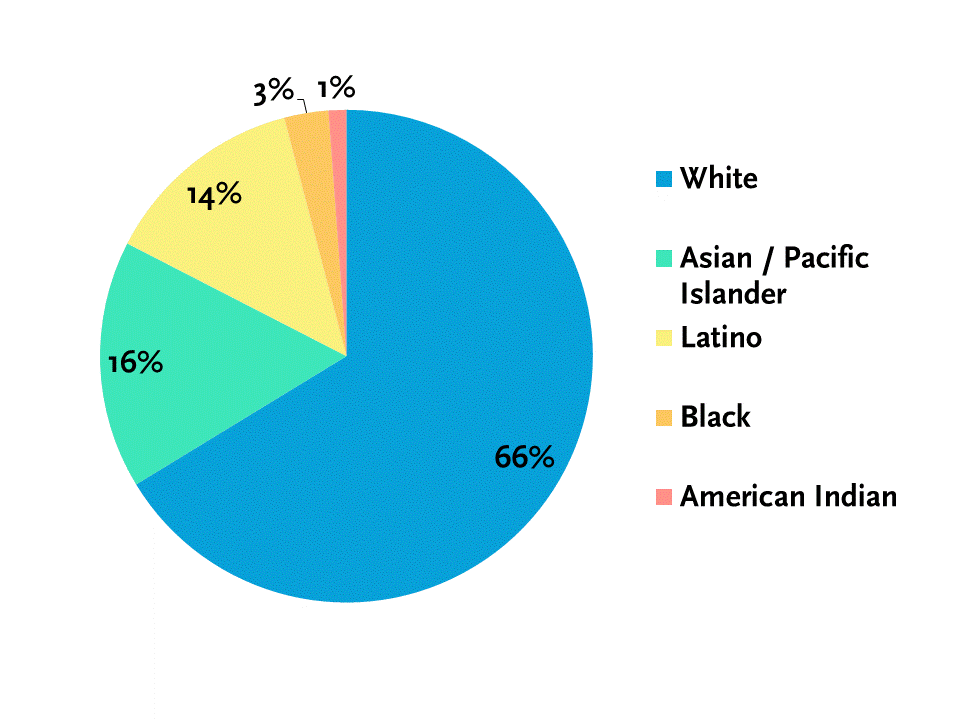 ethnicity
