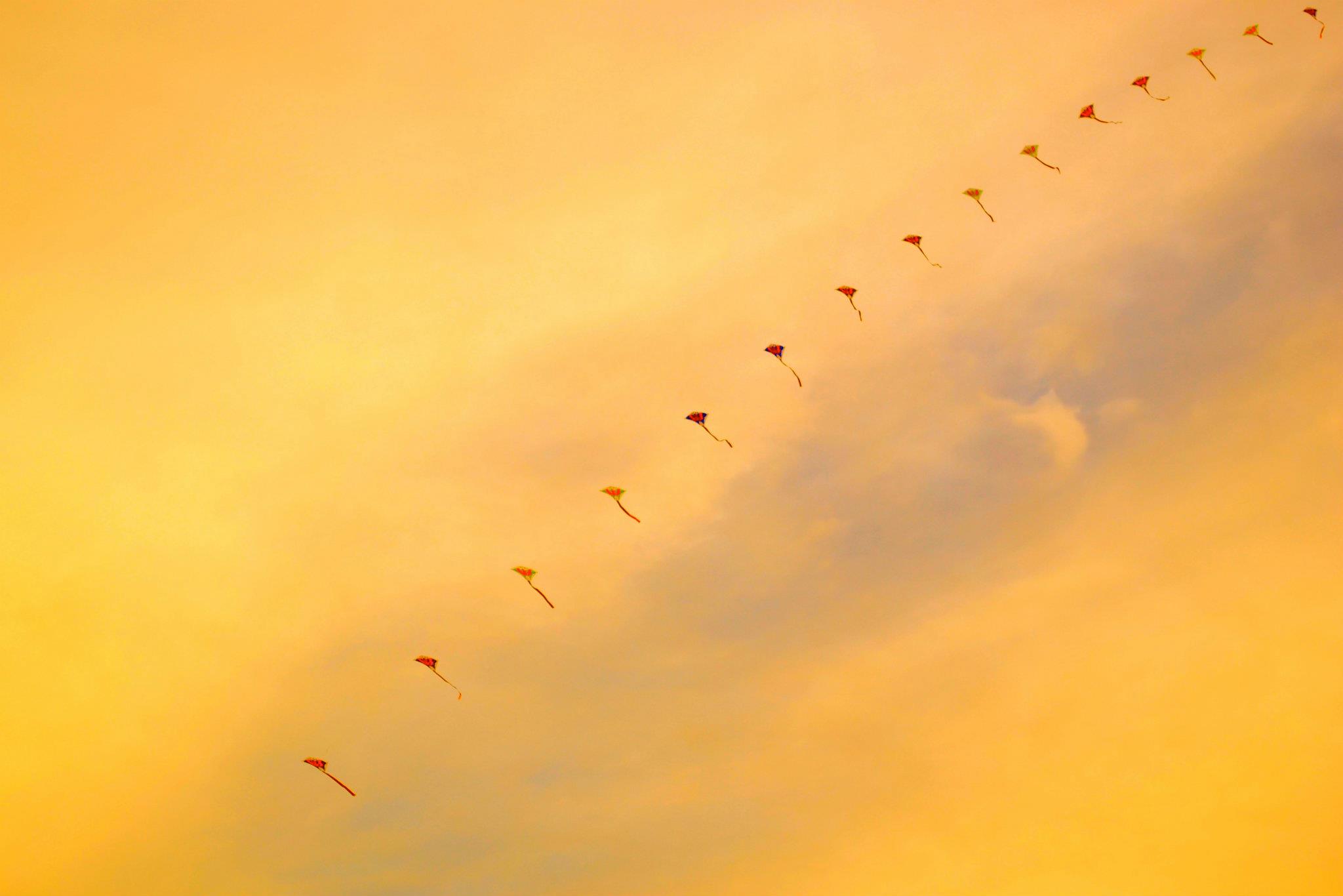 2012 Kites Festival 12