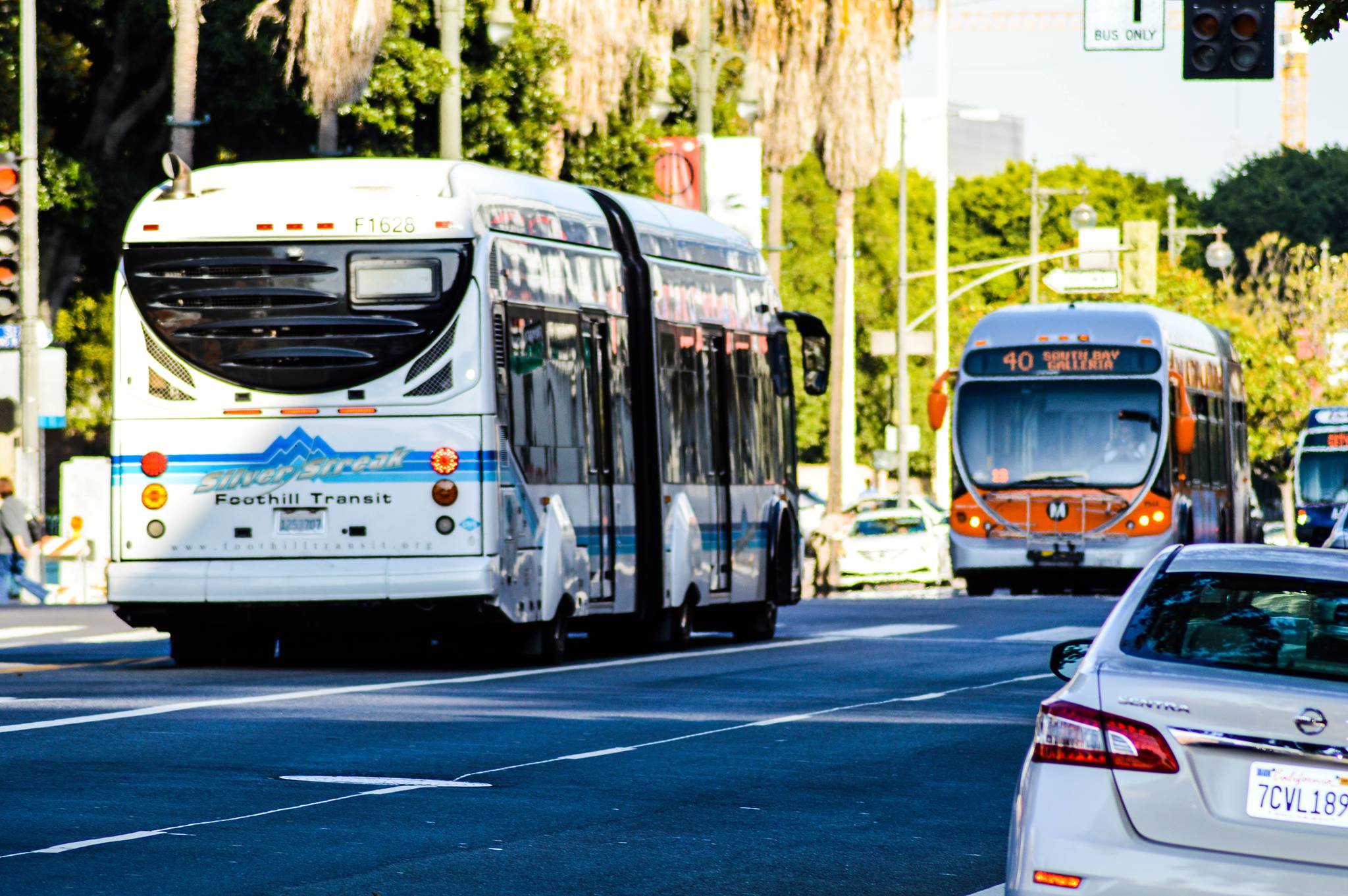 #TransitBros having a stare down! Credit: Jon Ross Alexander/Metro