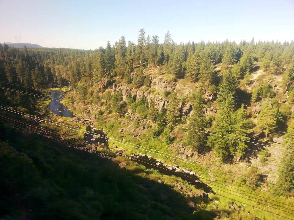 train view