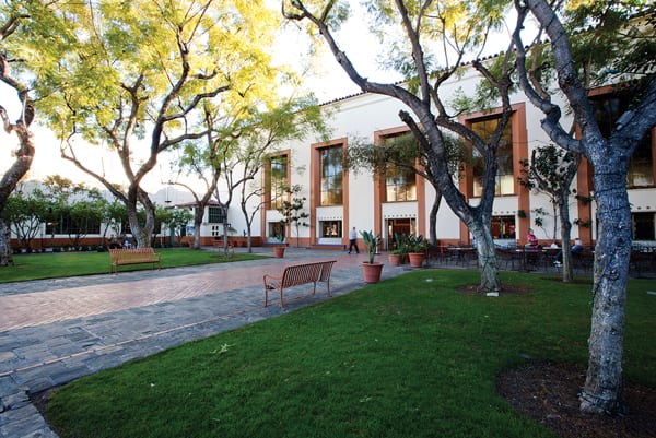 North Patio