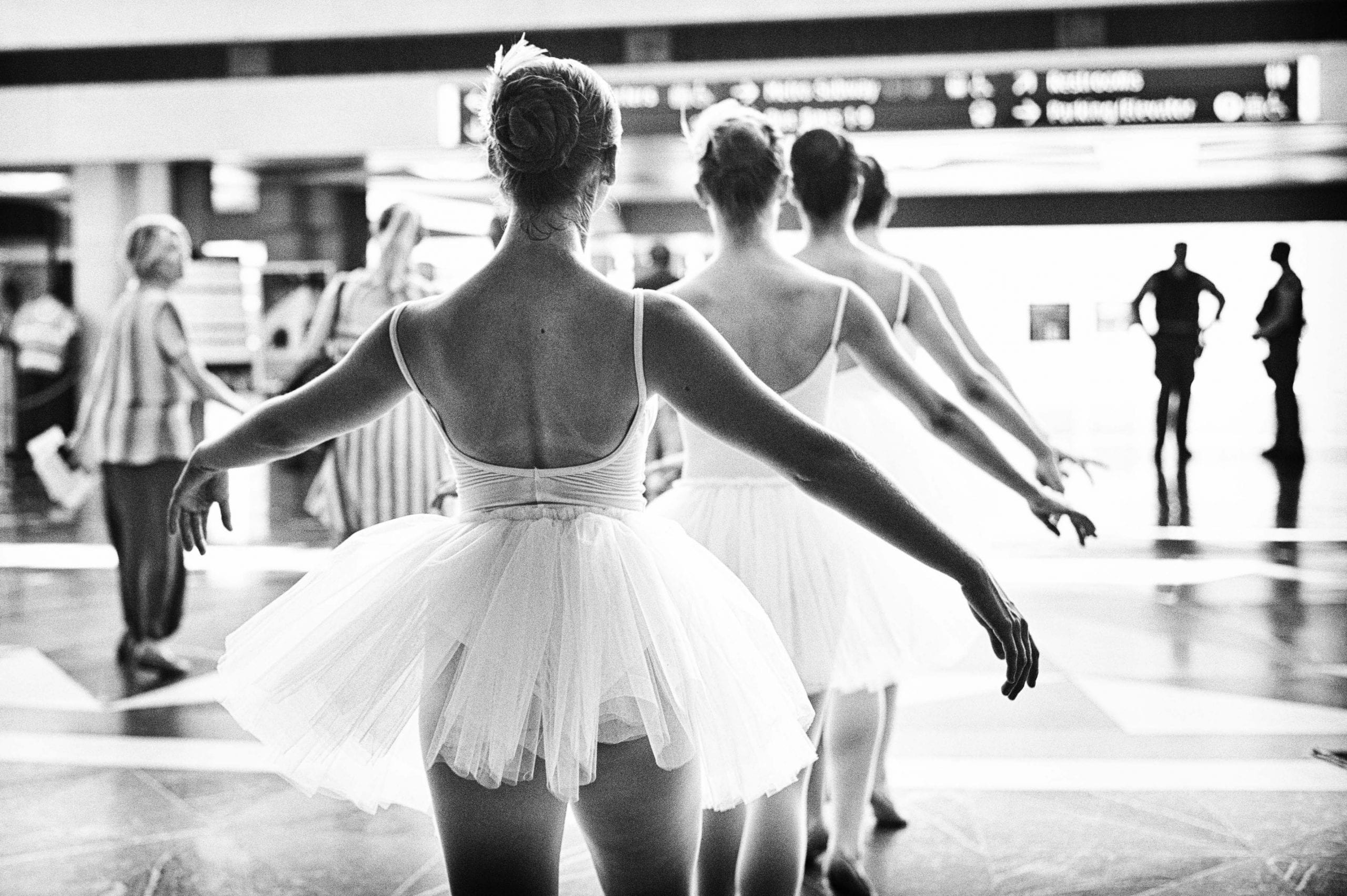 ART OF TRANSIT: Four swans visiting Union Station last week. Check out Metro's promotion with the Music Center for tickets to "Swan Lake" by clicking on the photo. 