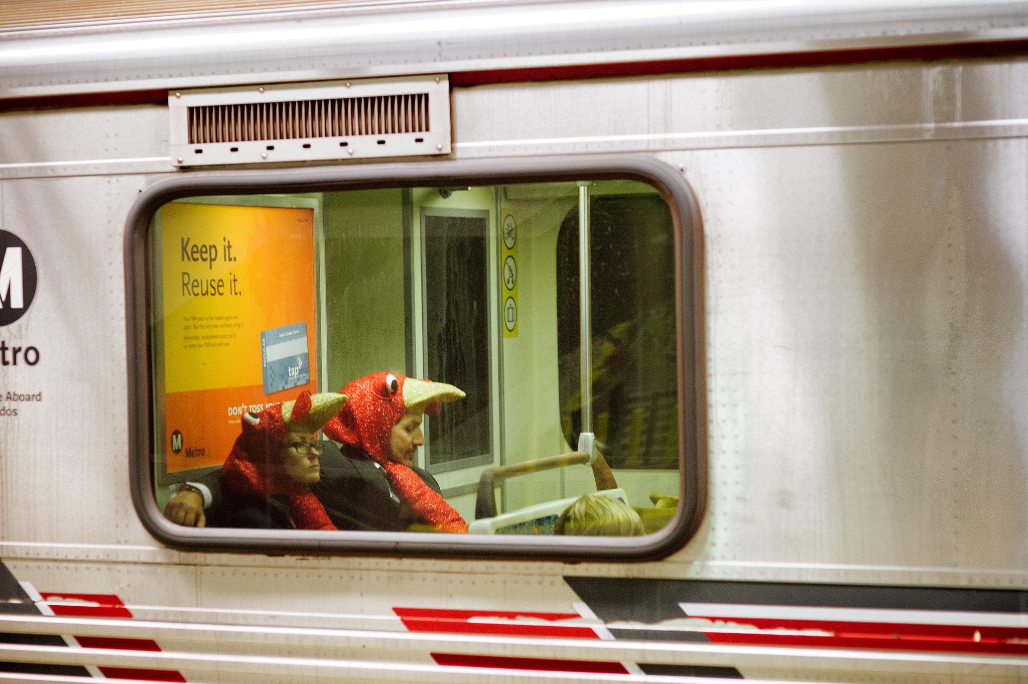 Turkeys on a train!