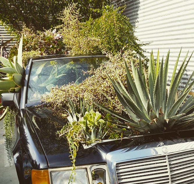 A garden variety automobile at the Santa Monica Museum of Art. (via @metrolosangeles Instagram)