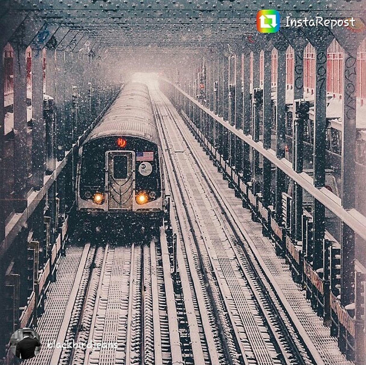 Snow in New York City. Photo: Instagram @blackbirdjeans