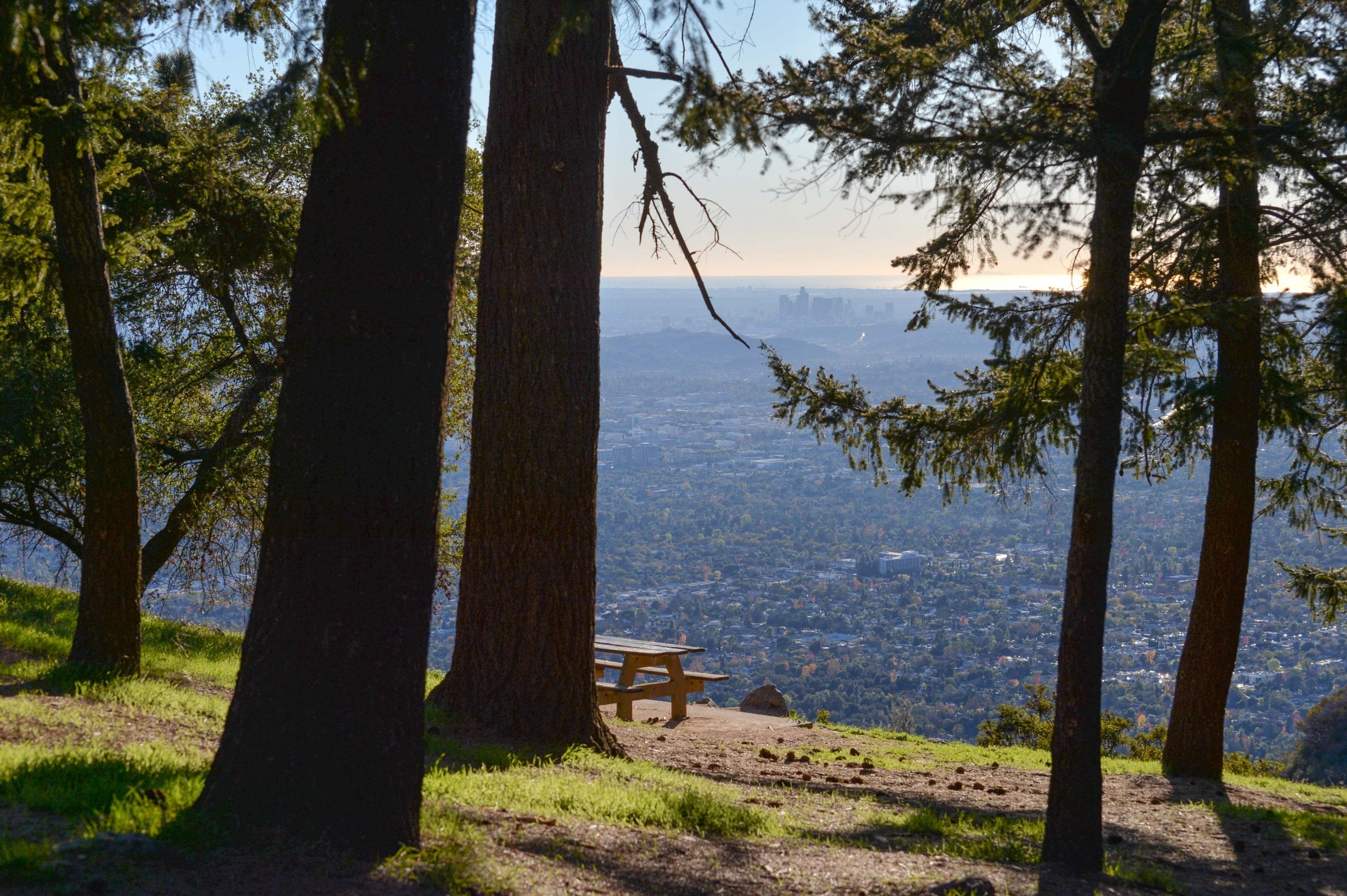 Just a small slice of our region's sprawl can be seen from Henninger Flats above Altadena. Photo by Steve Hymon.