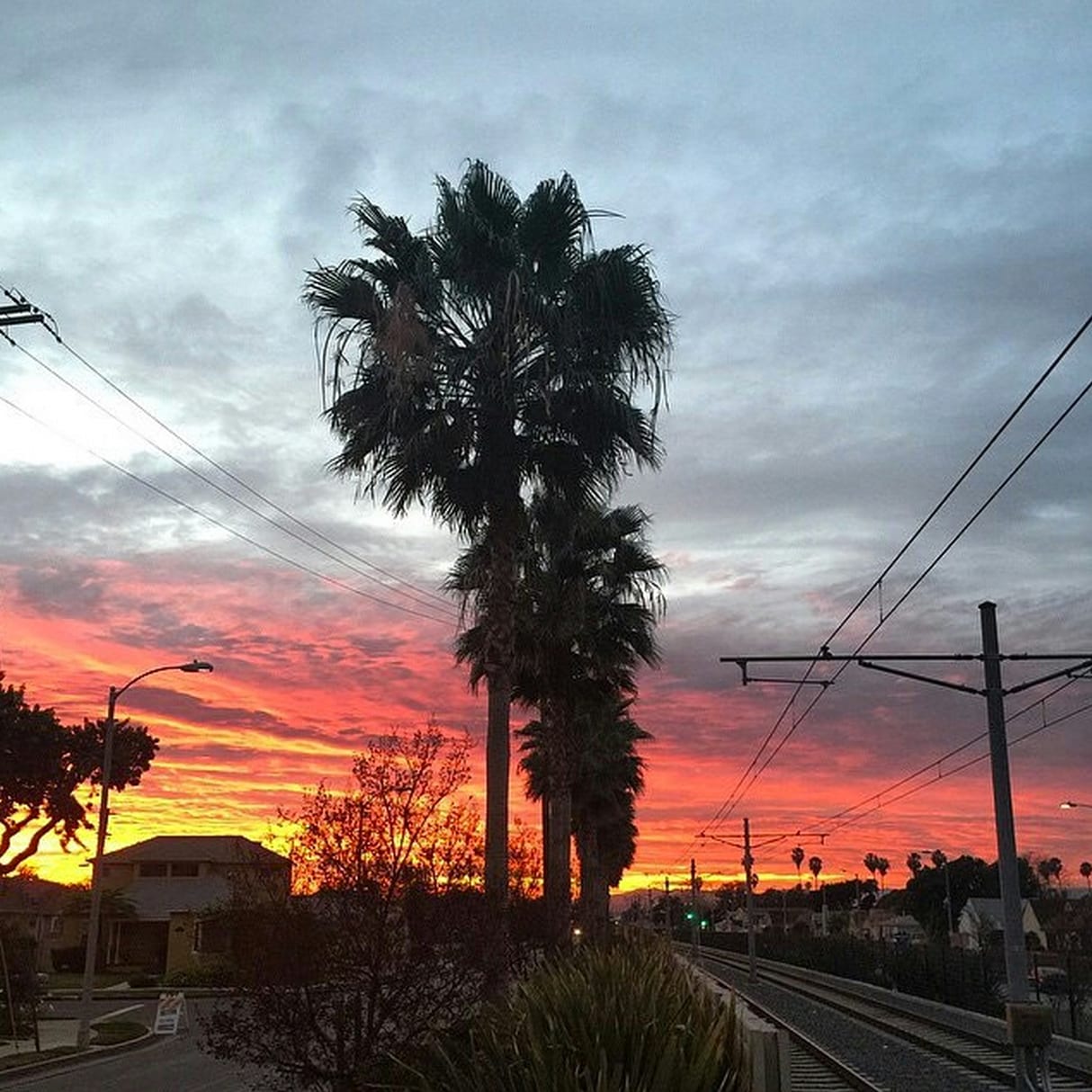 Expo Line at sunset. Photo by @enhancedexpressions via Instagram.