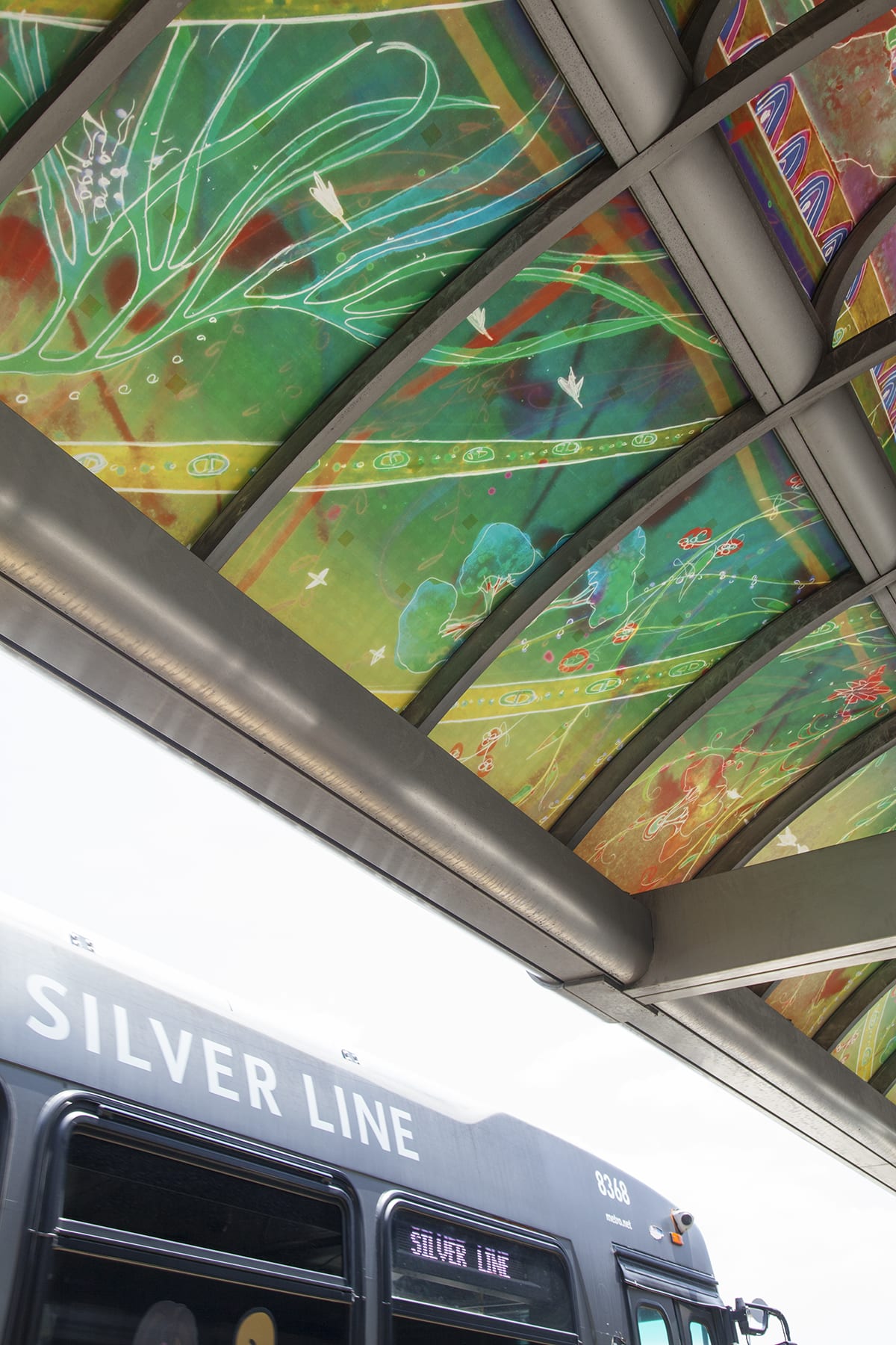 SilverLine515_425_sm