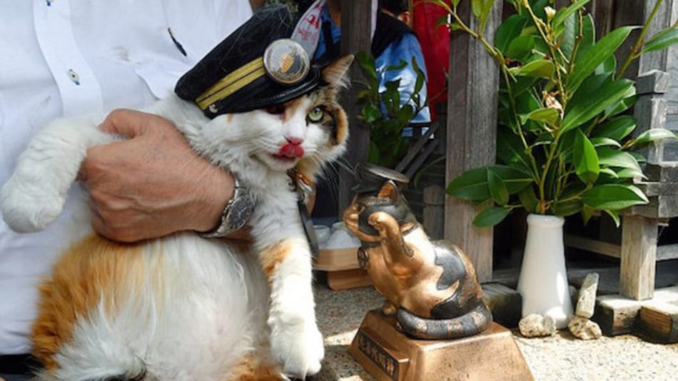Newly appointed stationmaster Nitami is comfortable wearing hats. Photo: Daily Mail 