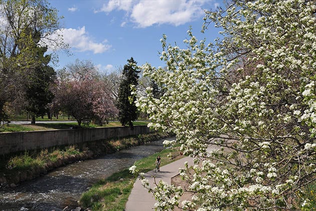 A bike trail in Denver. Photo: Visit Denver.