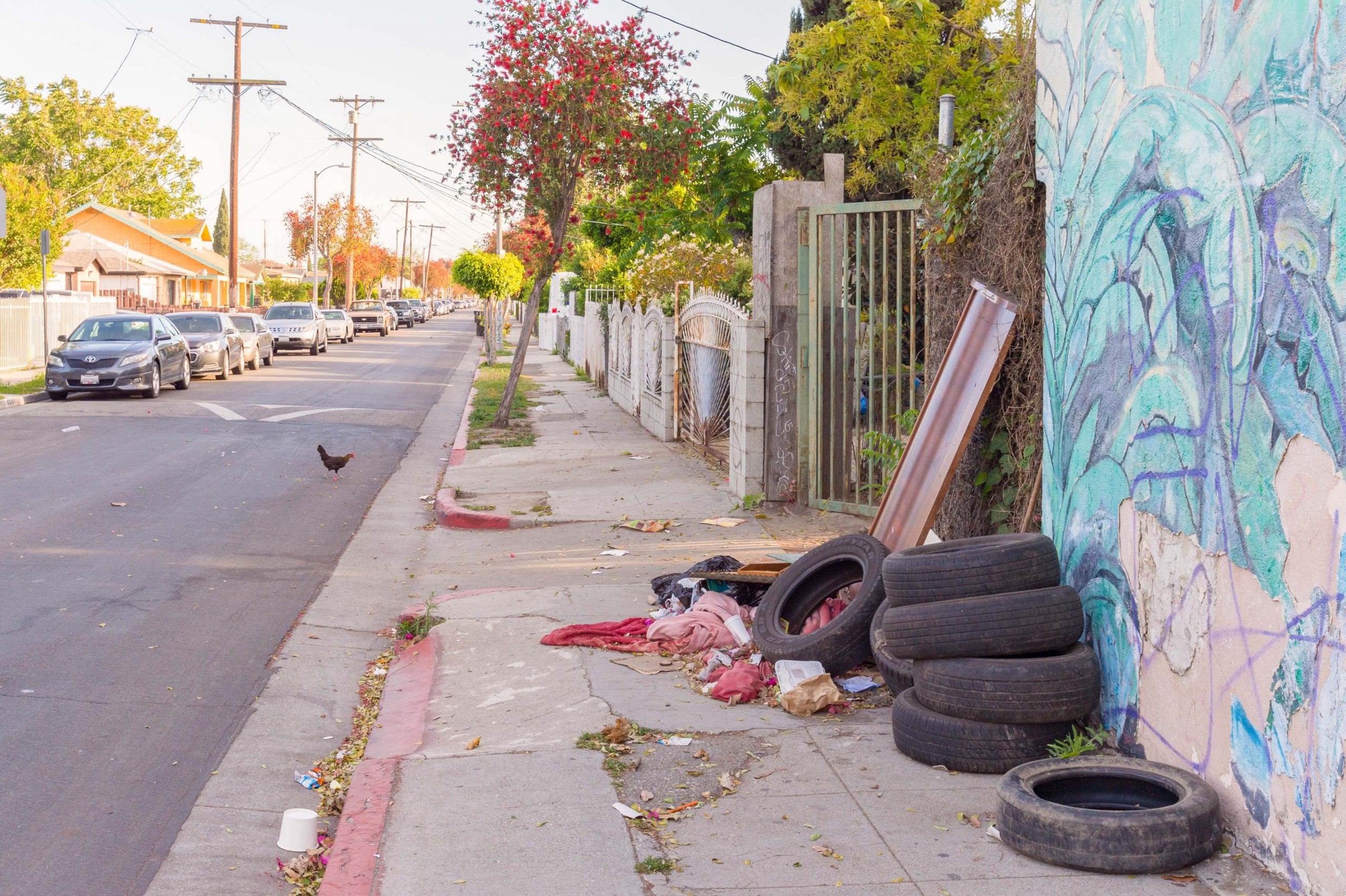 Trash on sidewalk near 103rd Street in Watts with chicken crossing road. Photo by Steve Hymon.