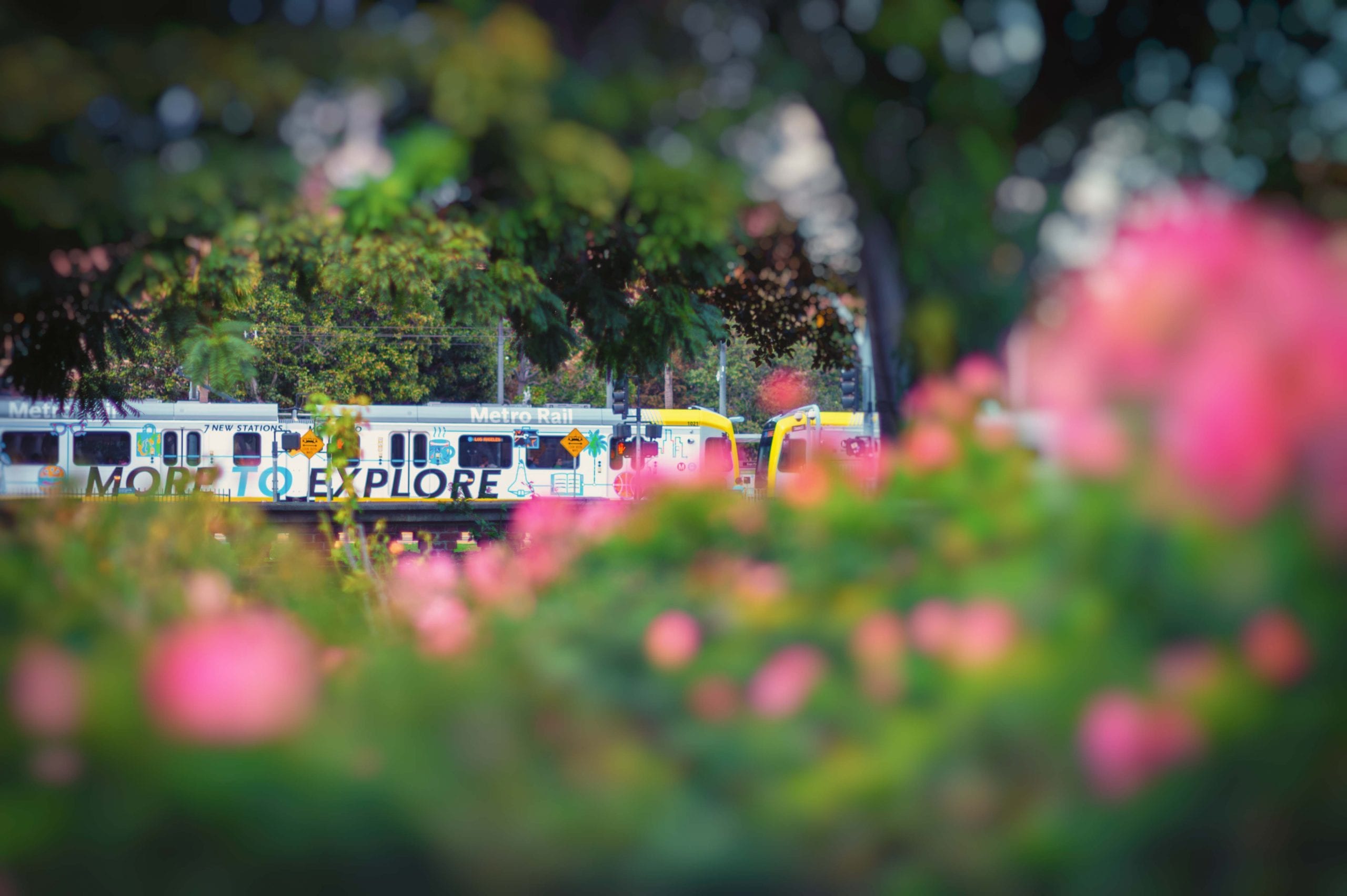 ExpoPark23Oct2016-48-Edit-Edit-2