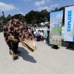 Enter stage right: Hunter the T-Rex from the Natural History Museum. Photo by Gary Leonard.