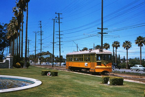LARy/Los Angeles Transit Lines Line 5 on Florence Av by Inglewood Park Cemetery in 1955. Today, this is the K Line's route between Fairview Heights and Downtown Inglewood Stations. Photo by Alan Weeks.